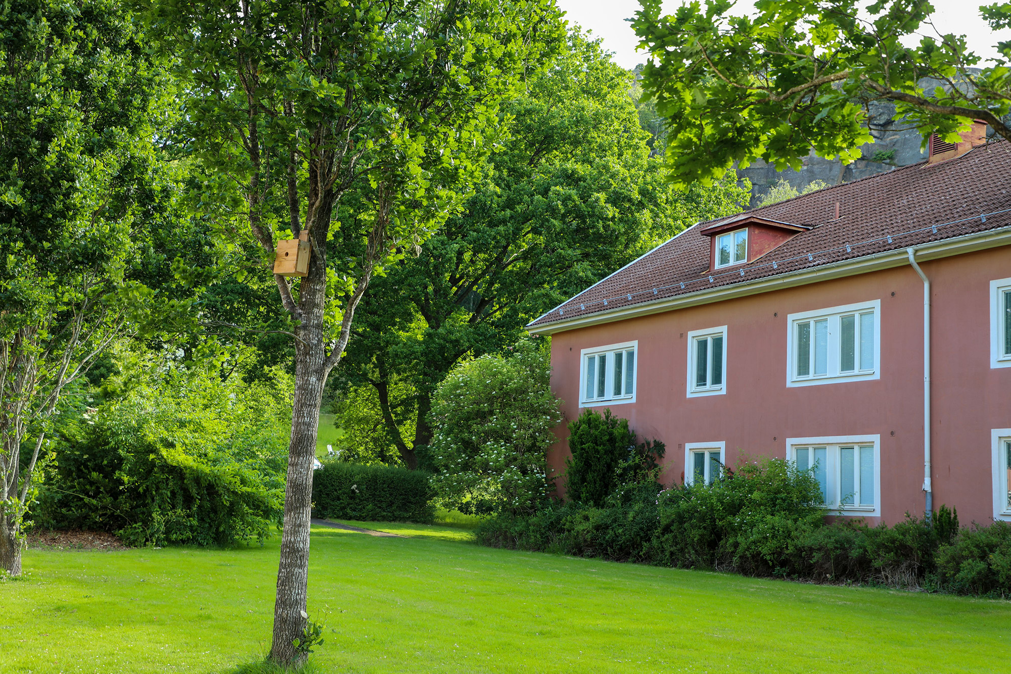 Rött tegeltak och rosa/röd fasad på ett flerbostadshus, omgivet av grönskande träd, buskar och gräsmatta, med en fågelholk uppsatt i ett träd i förgrunden.