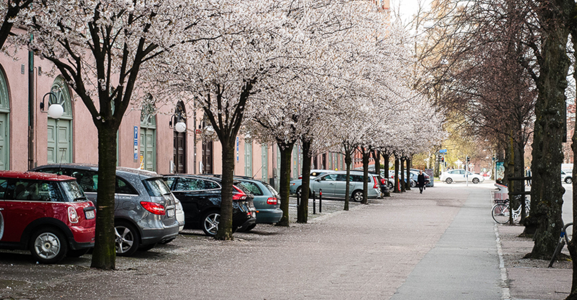 Bilar parkerade längs en trädkantad gata i vårblom utanför ett äldre bostadshus.